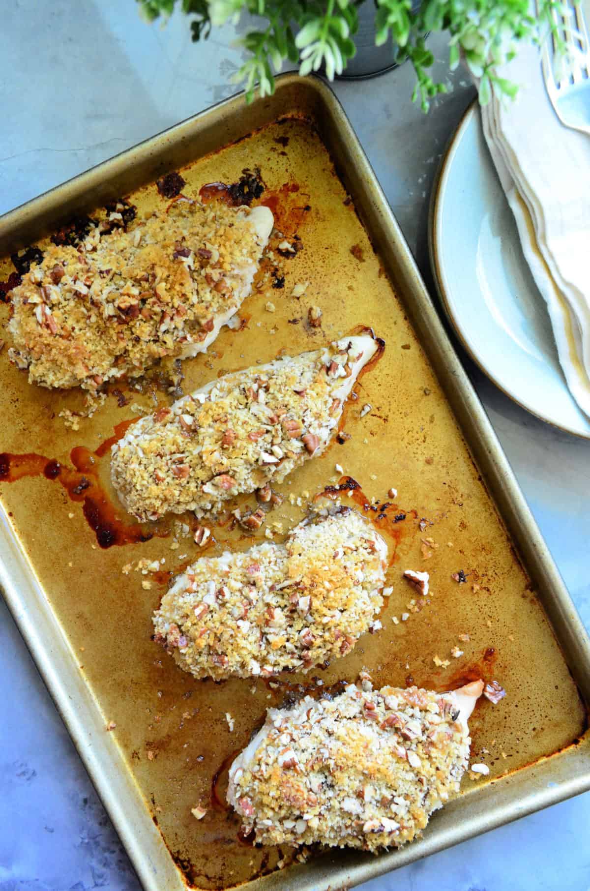Golden sheet pan with 4 baked pecan chicken breast on top.
