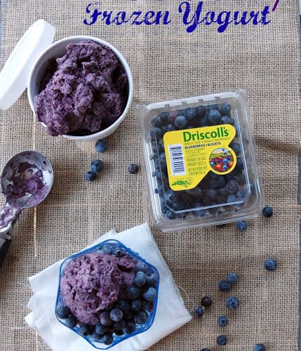 Top view of a pint of blueberry frozen yogurt, glass dish and a pint of bleuberries.