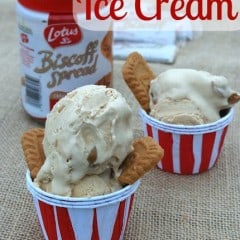 biscoff ice cream