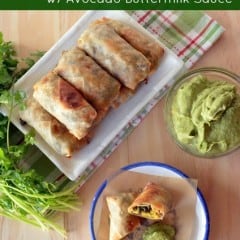 Baked Vegetarian Southwestern Eggrolls