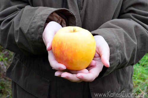 Opal Apple from KatiesCucina.com