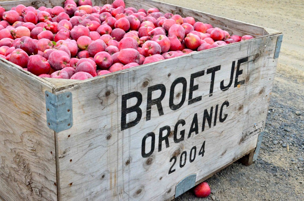 Here's why you need to try Opal Apples from Washington State's