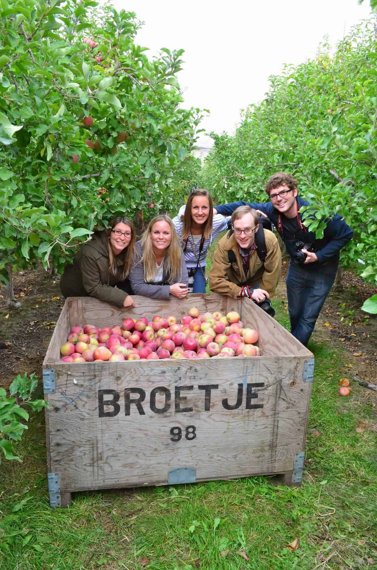 3 women and two men hunched over a crate of Broetje apples in an orchard.