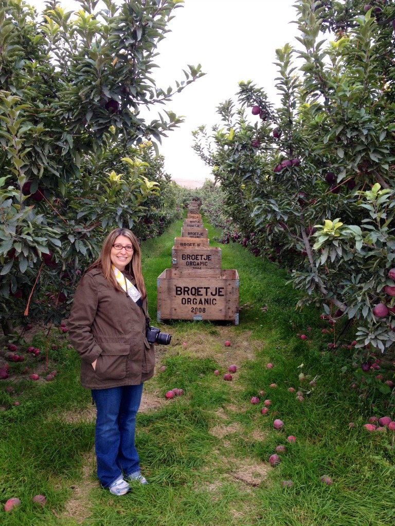 And now you know about Opal apples - Pinch of Yum