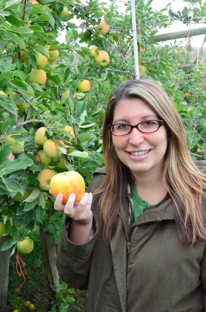 Opal Apples at Broetje Orchards - Washington State from KatiesCucina.com