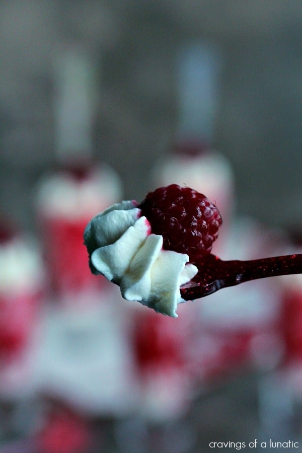 Spoon filled with whipped cream and a raspberry.