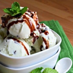 Mint Chocolate Chip Ice Cream