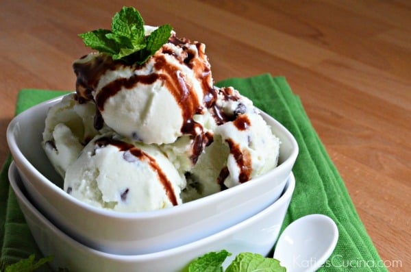 Mint Chocolate Chip Ice Cream