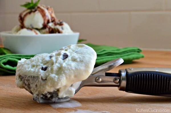 Mint Chocolate Chip Ice Cream