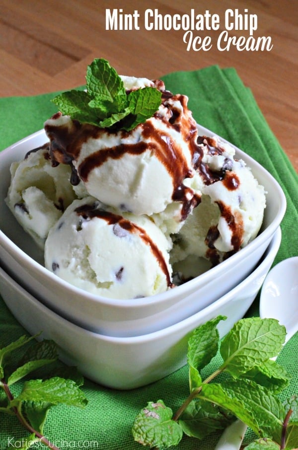 Mint Chocolate Chip Ice Cream