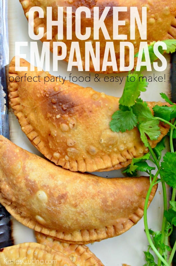 Chicken Empanadas