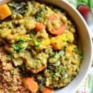 The perfect meatless meal >> Lentil Stew!