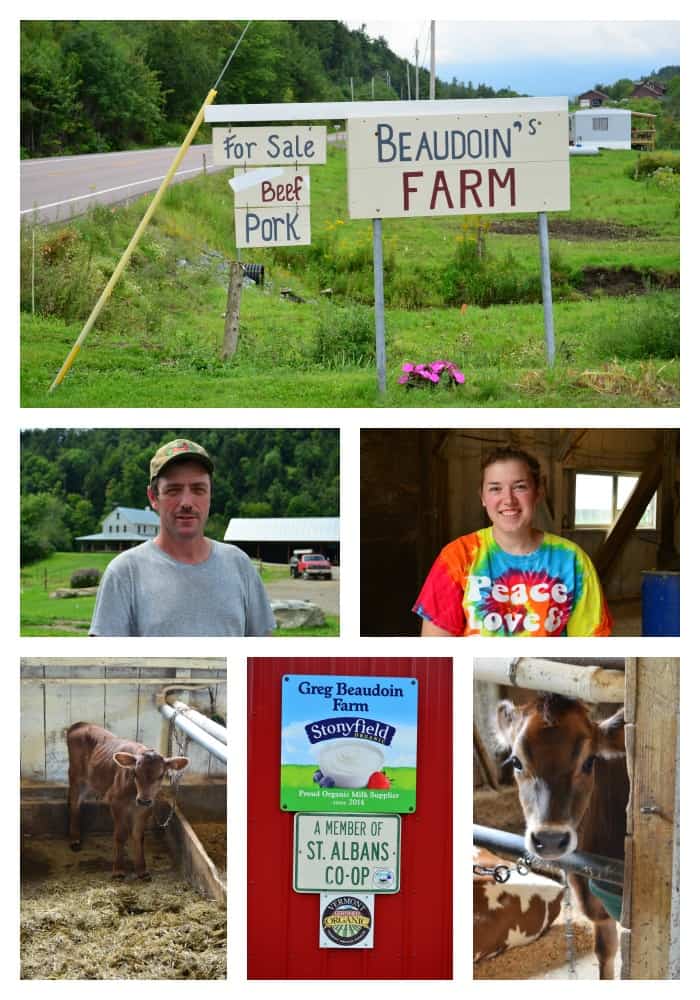 Greg Beaudoin's Organic Dairy Farm