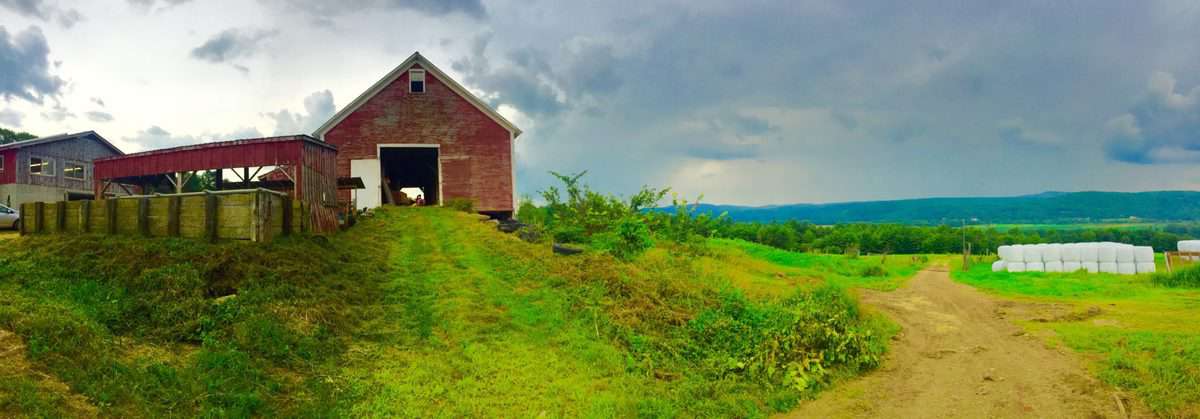 Panoramic view of lush green farm with rolling hills and dark grey clouds in the sky.