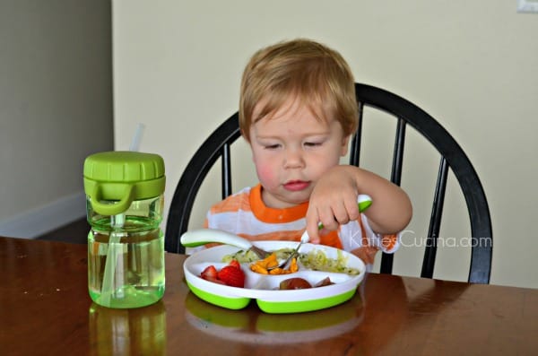 OXO Tot - lunch time feeding