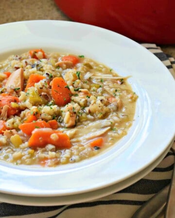 White bowl filled with vegetables and turkey soup.