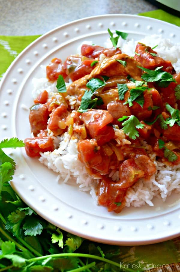 Slow Cooker Chicken Tikka Masala