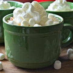 Slow cooker hot chocolate