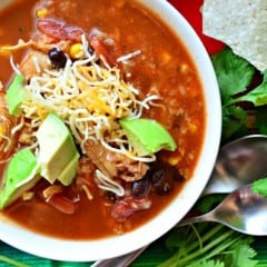 30 Minute Chicken Tortilla Soup