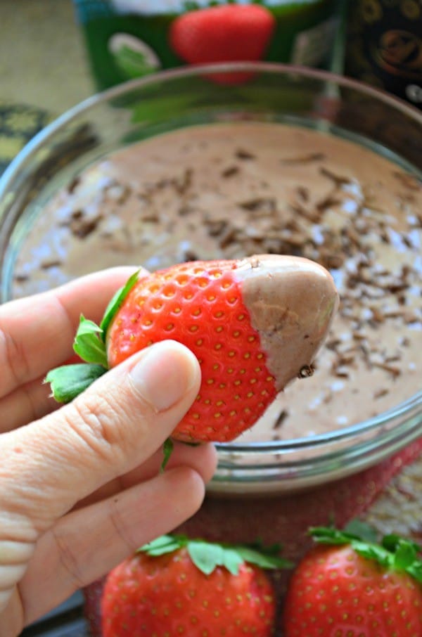 Chocolate Strawberry Yogurt Dip