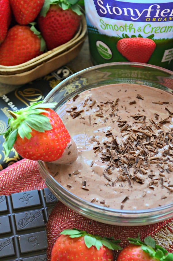 Chocolate Strawberry Yogurt Dip