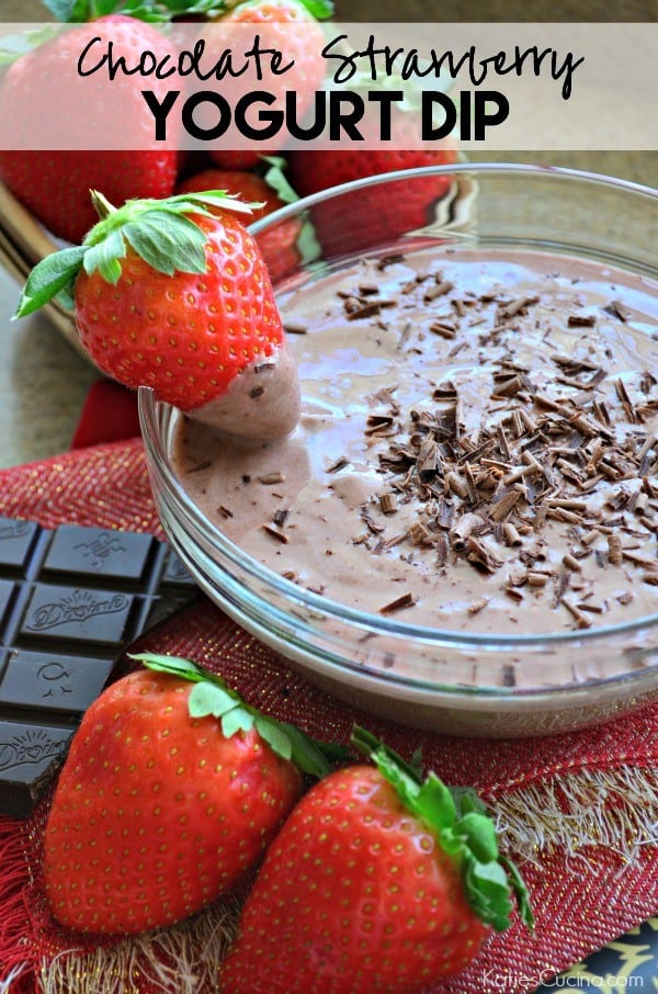 Chocolate Strawberry Yogurt Dip