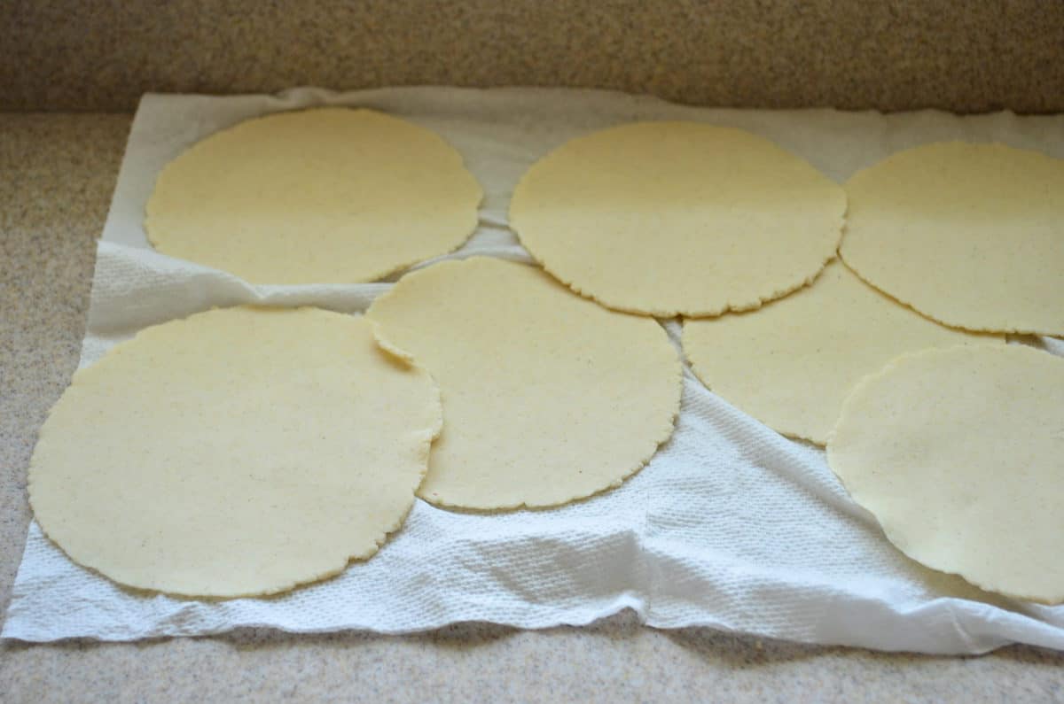 7 pressed circles of dough resting on a damp paper towel.