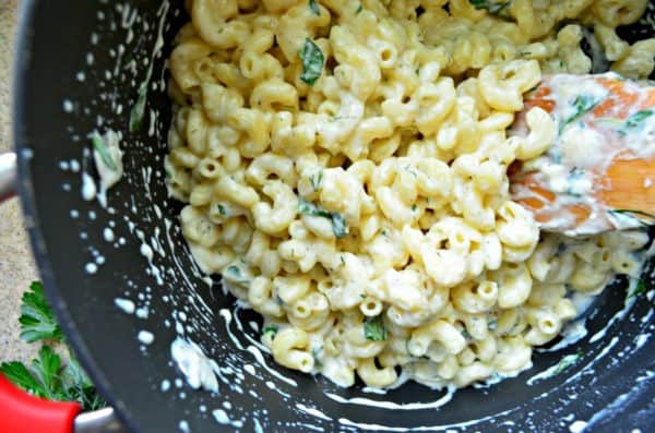 Stove-top Macaroni & Garlic Herb Cheddar Cheese