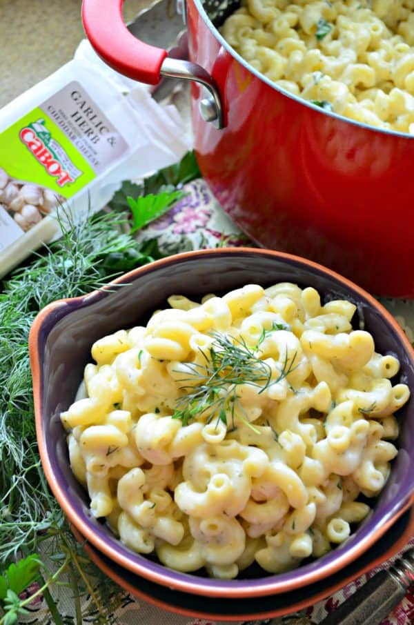 Stove-top Macaroni & Garlic Herb Cheddar Cheese