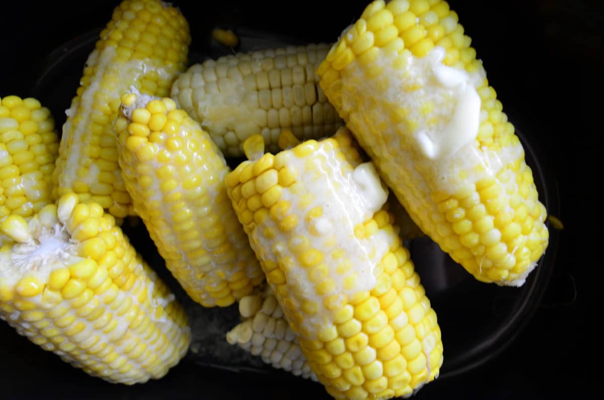 Top view of half pieces of con on the cob with butter on them. 