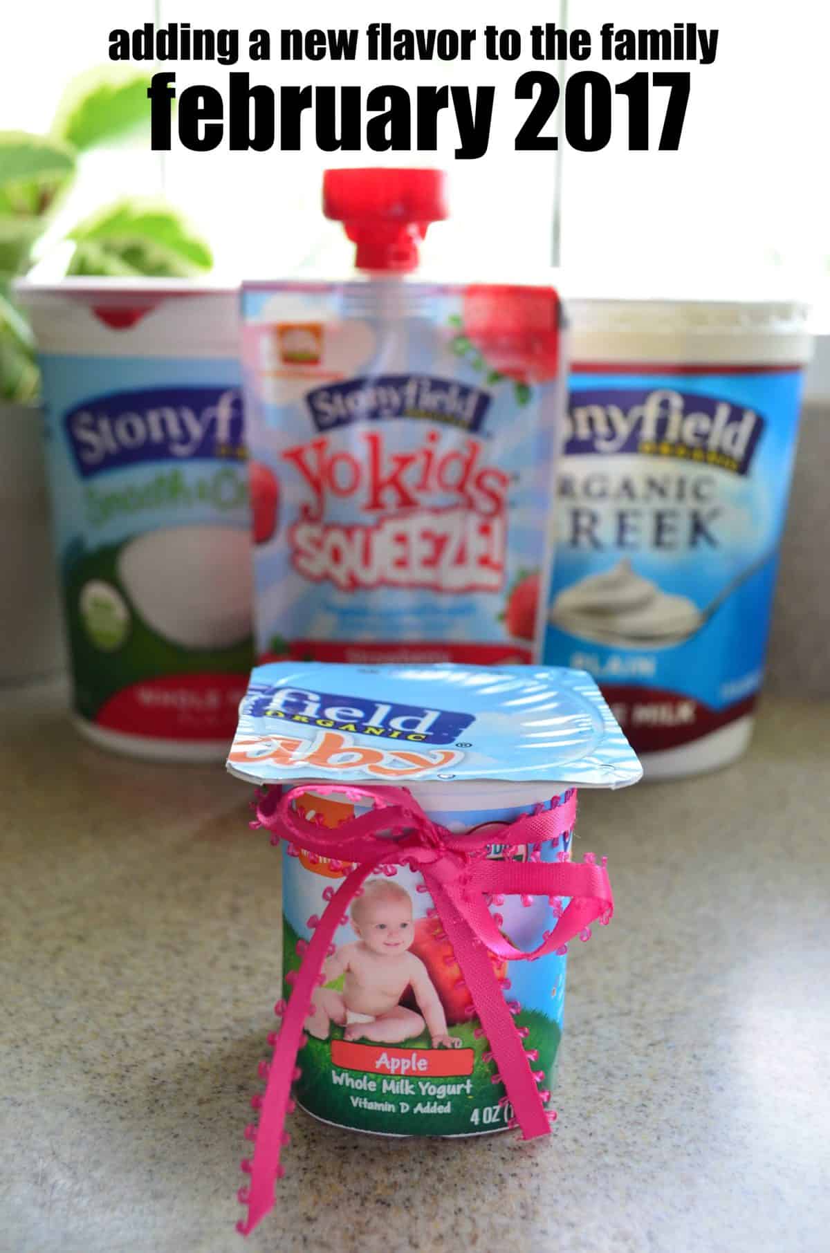 title page with 3 different kinds of containers of stonyfield yogurt products on countertop.