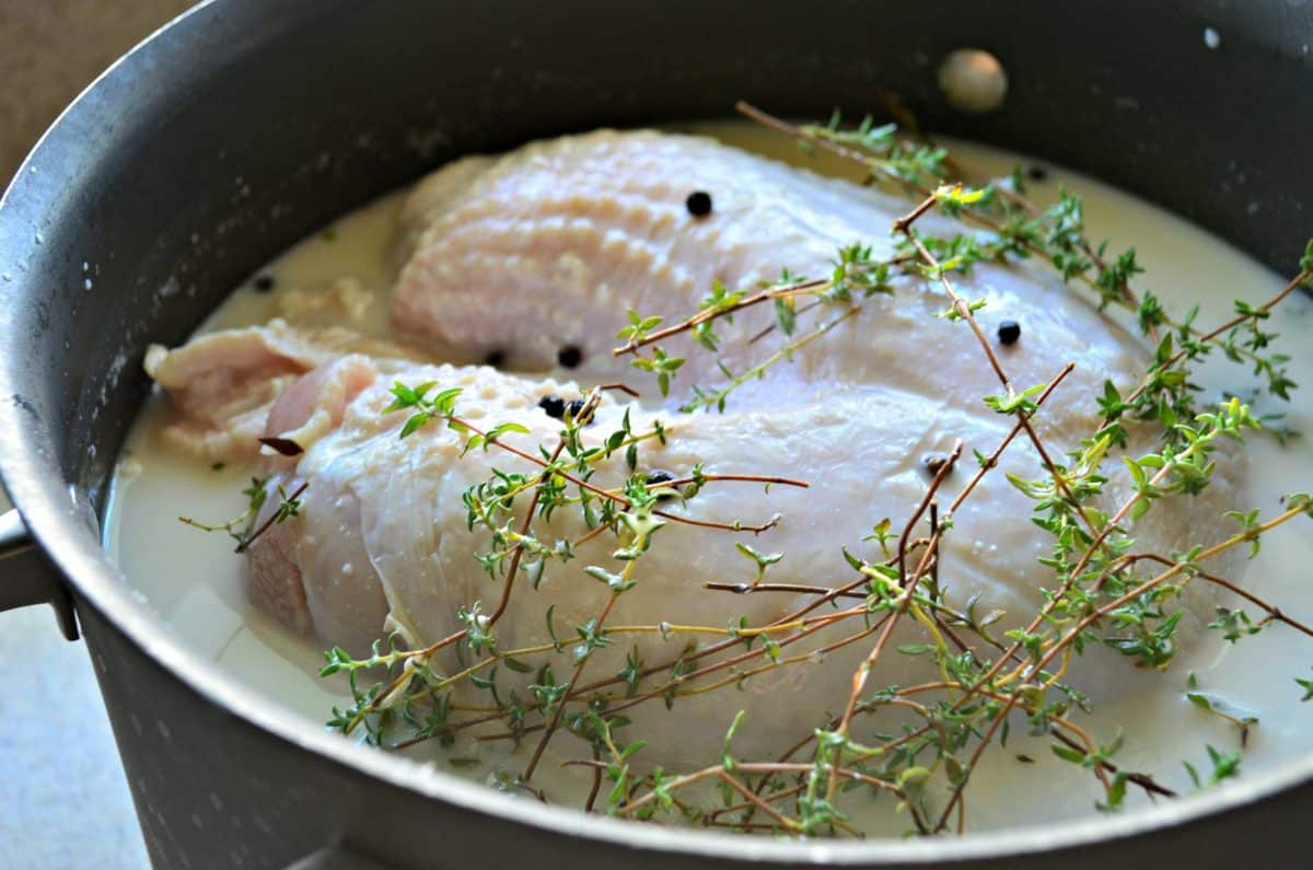 side view of top pot of Buttermilk, fresh Thyme & Garlic brine with raw turkey in it.