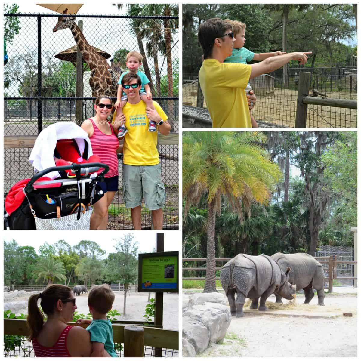 4 photo collage of mother, father, and son enjoying various views of rhinos and giraffes at the zoo.