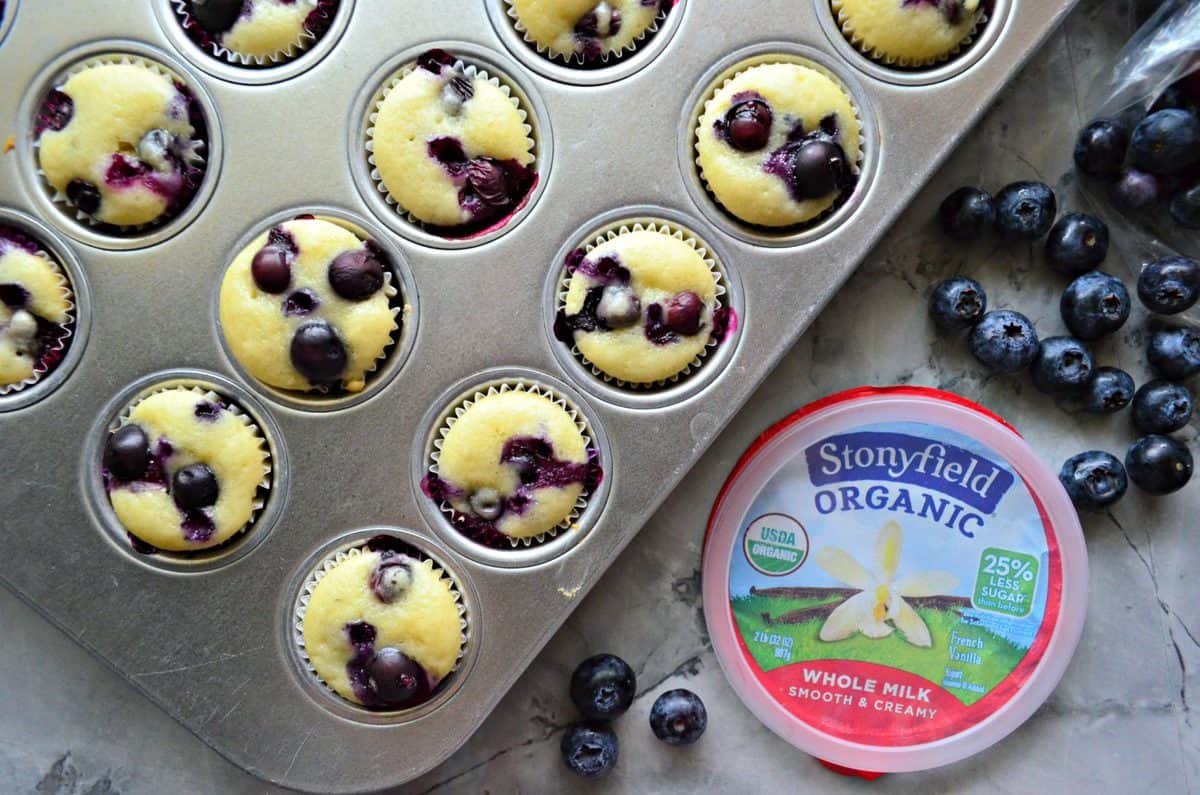 top view of Mini Blueberry Yogurt Muffins in muffin tin next to fresh berries and yogurt container.