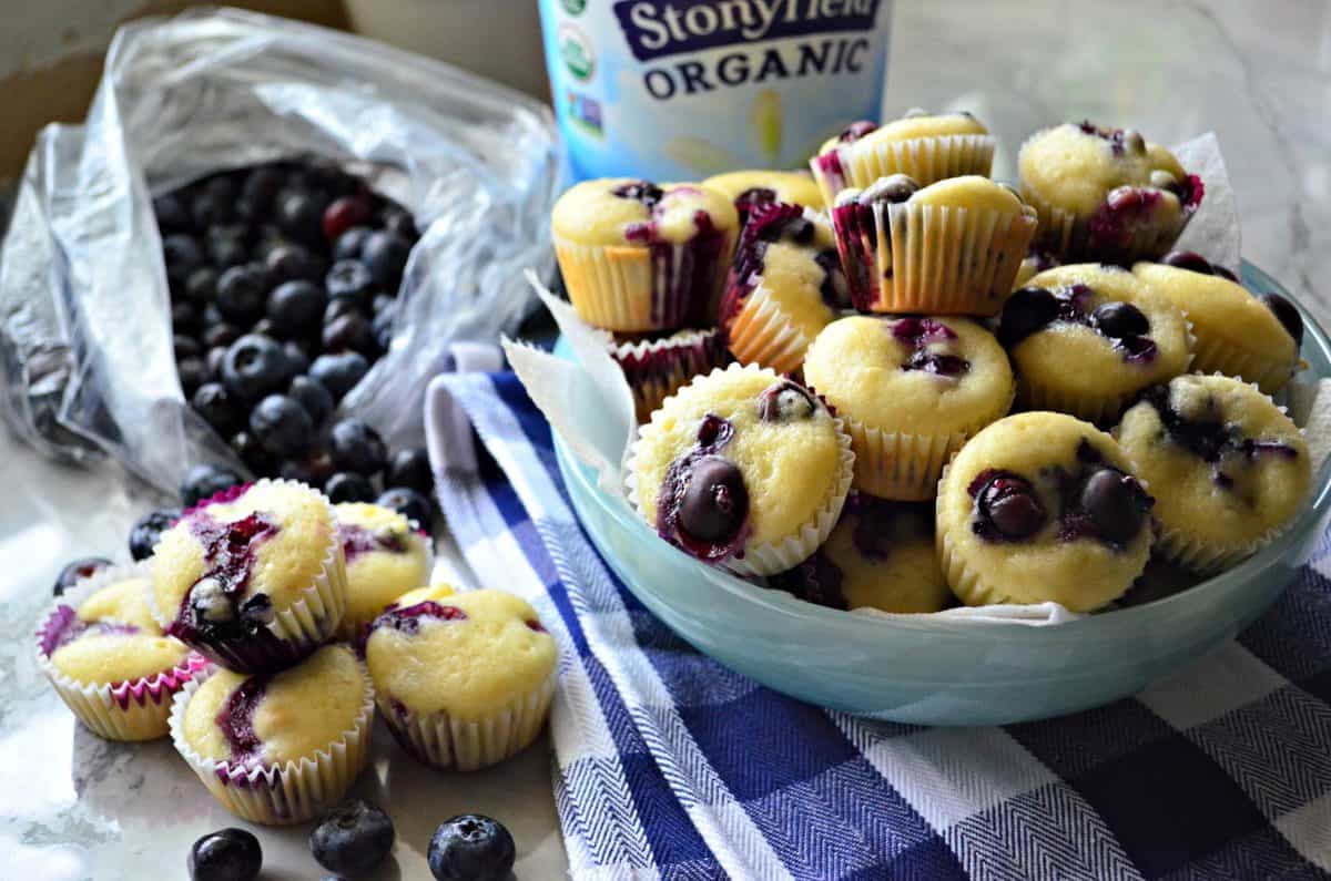 mini blueberry yogurt muffins in blue bowl and on countertop in front of bag of fresh blueberries.