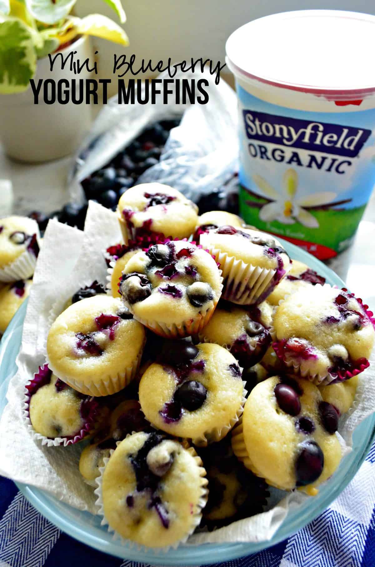 blue plate stacked high with min blueberry muffins in front of stonyfield organic yogurt with title text.