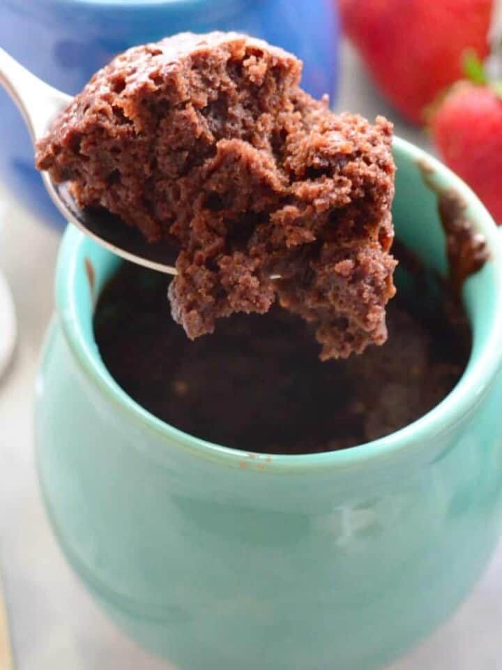 Dairy Free Chocolate Mug Cake