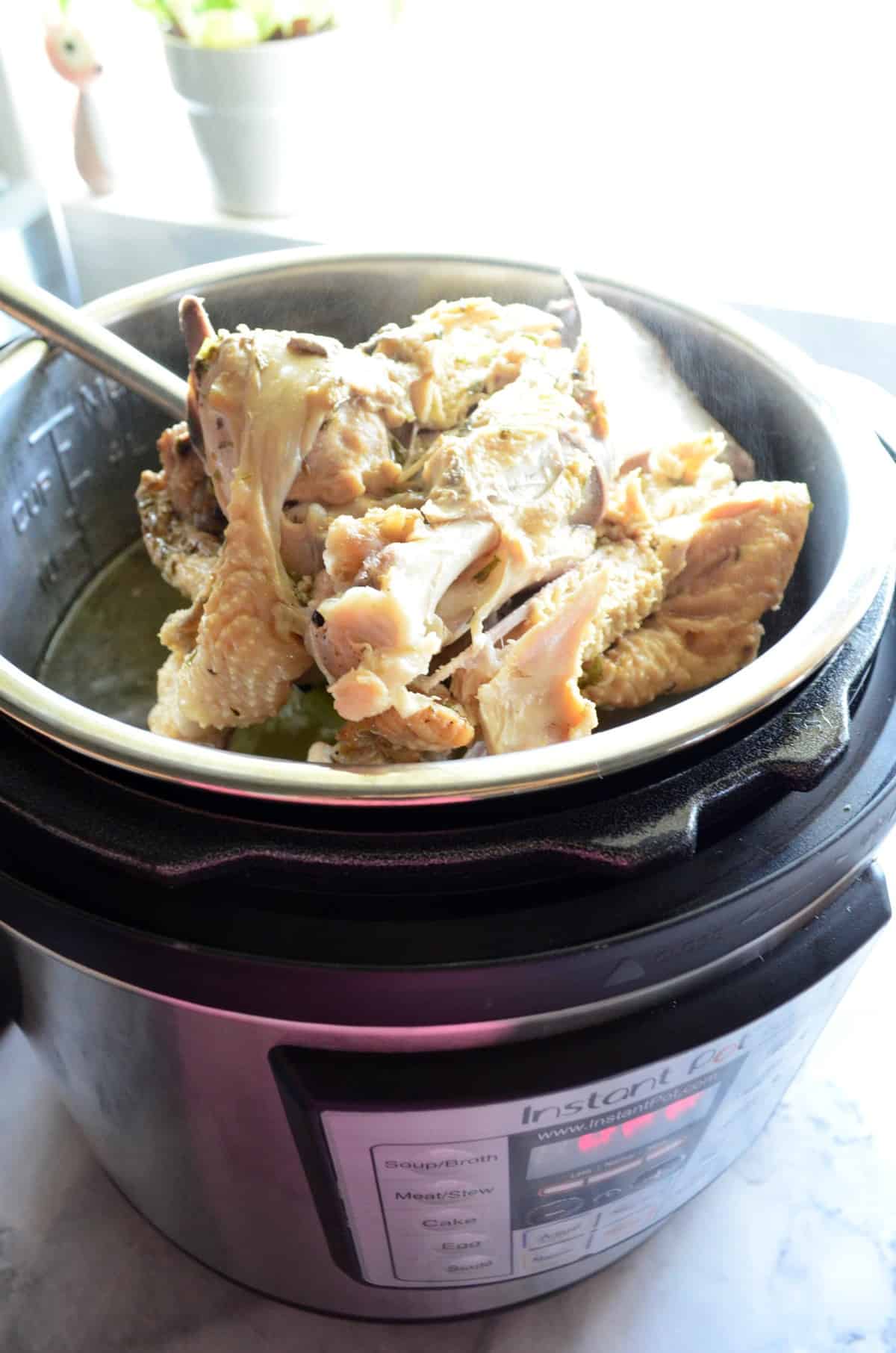 close up side view of turkey in instant pot with yellowish broth.