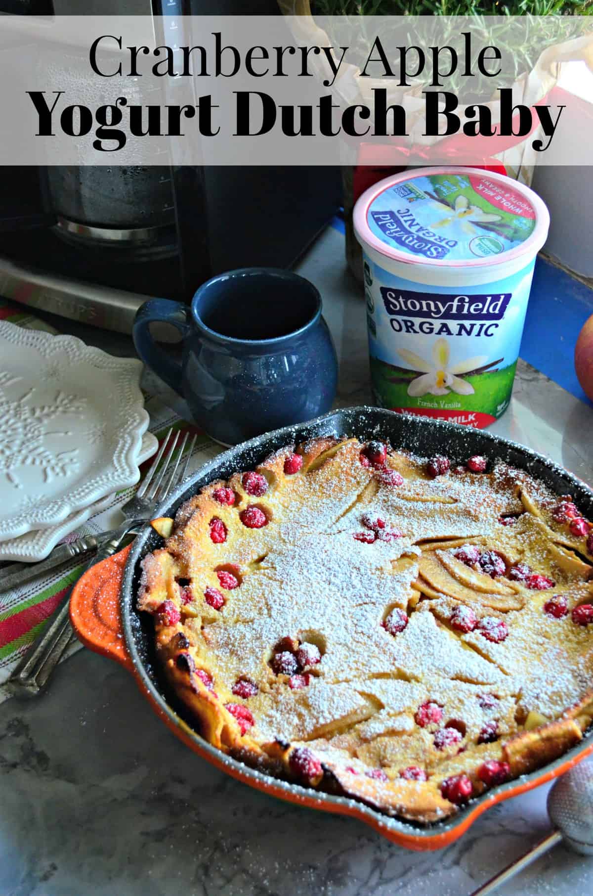 pancake like pastry with apples and cranberries baked into it in skillet topped with powdered sugar.