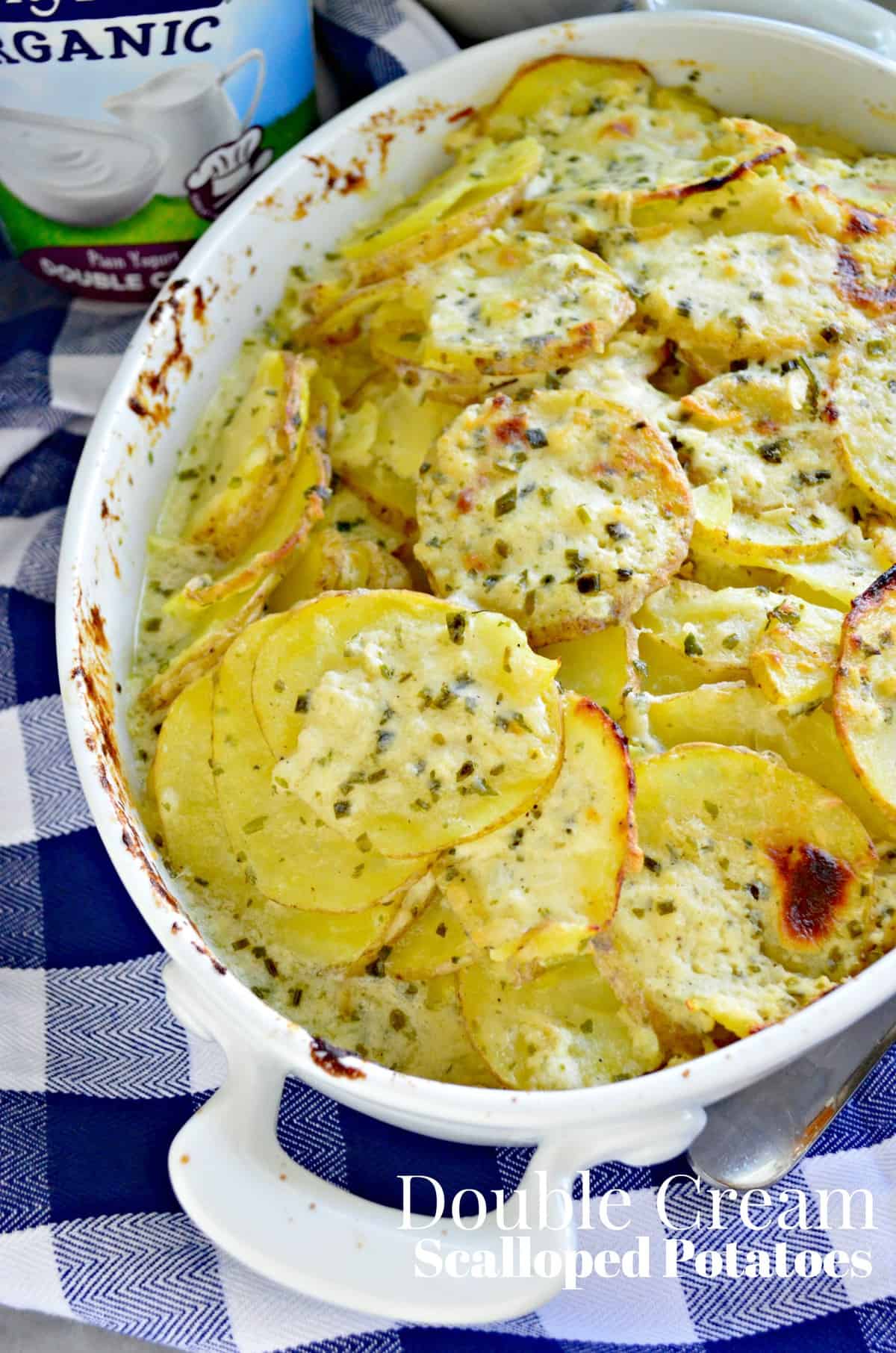 creamy and golden brown scalloped potatoes with herbs and cheese in white ceramic dish with title.