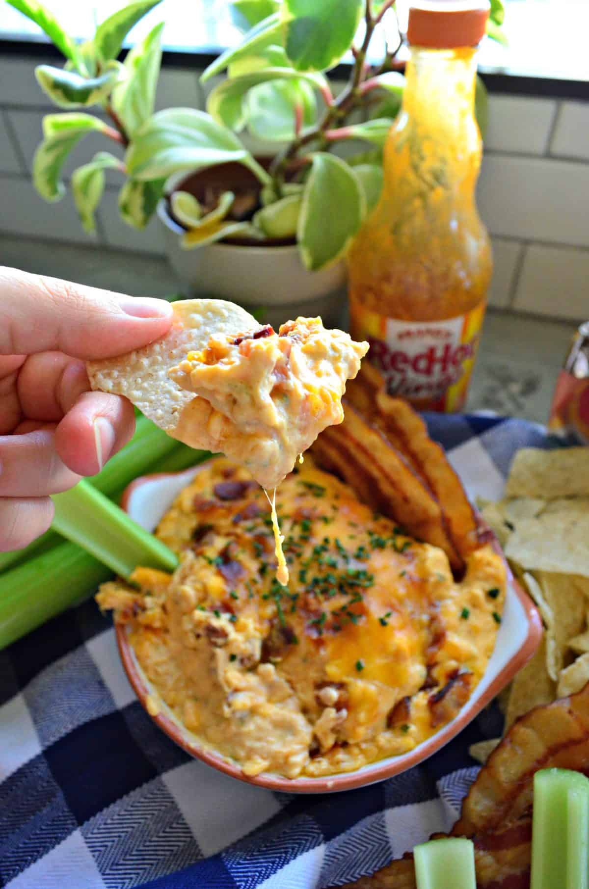 hand holding up tortilla chip with buffalo chicken dip on it over bowl of dip.