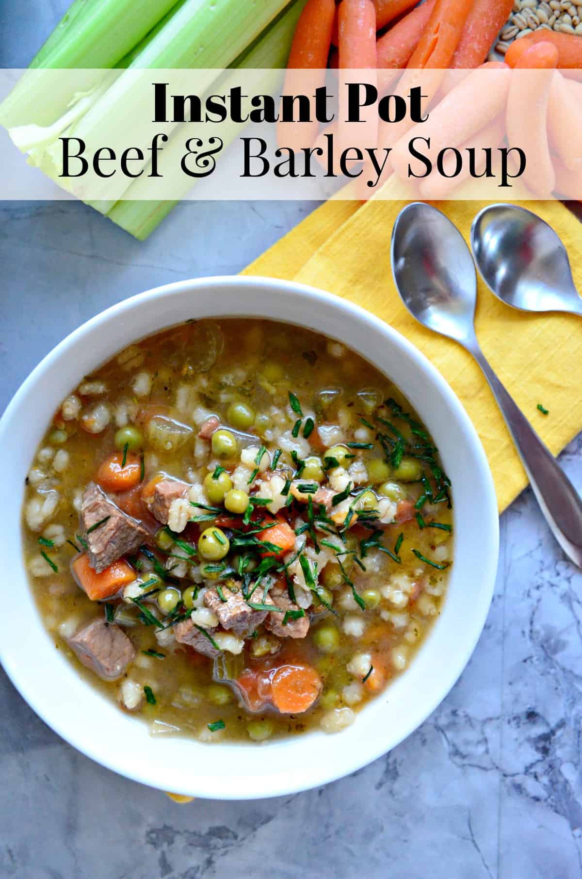 top view of bowl of brown soup with barley, beef, peas, carrots, celery and herbs visible with title text.