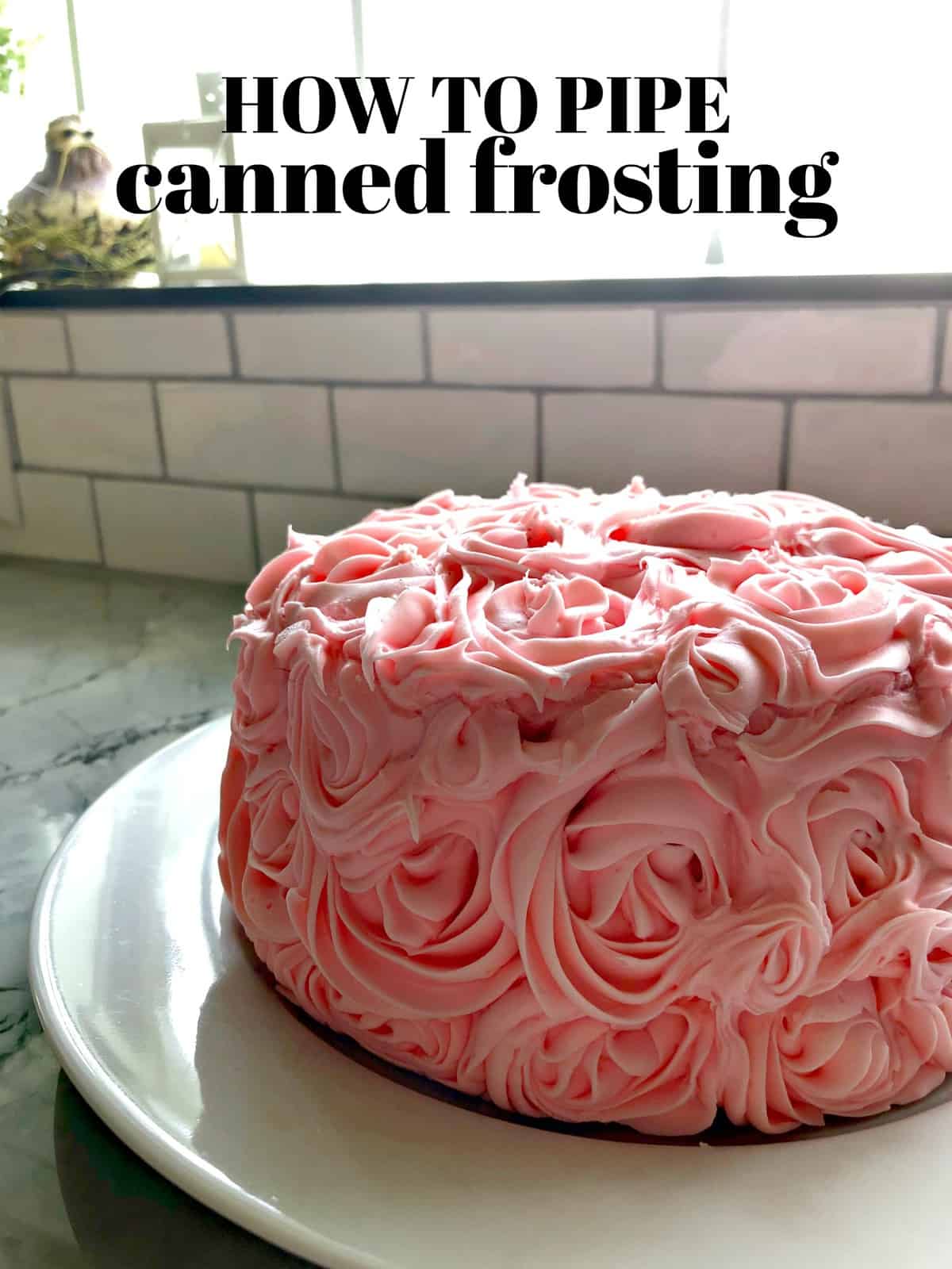 How to Pipe Canned Frosting