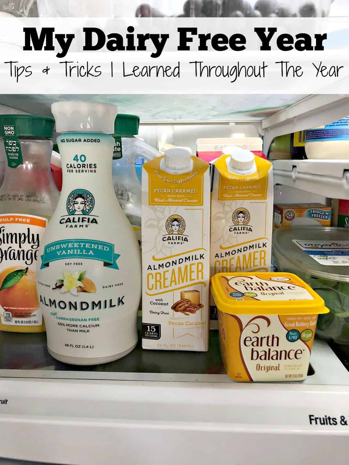 My Dairy Free Year - Tips & Tricks I Learned Throughout The Year