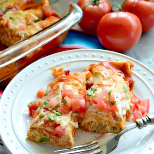 Chicken and Cheese Enchiladas