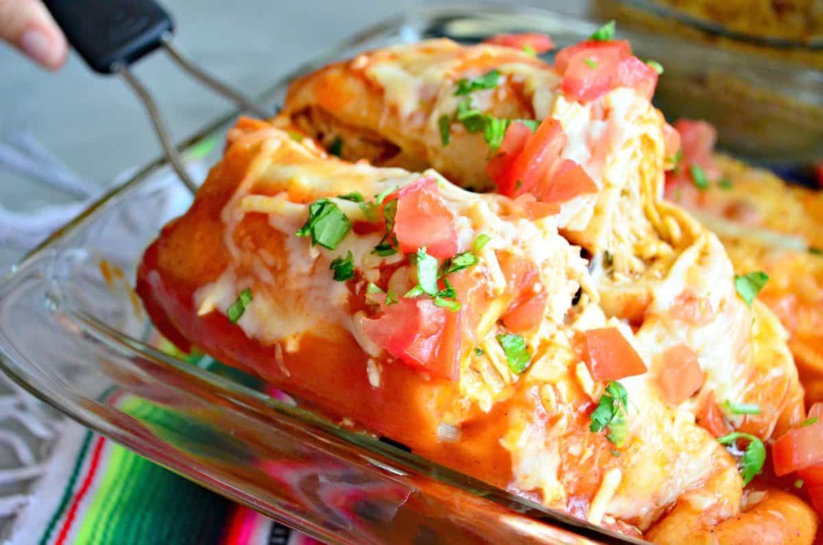 Enchiladas in glass dish topped with melted cheese, diced tomatoes, and cilantro, Sliced in half.