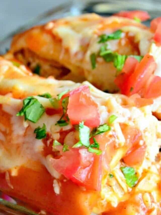 Cheesy Chicken Enchiladas