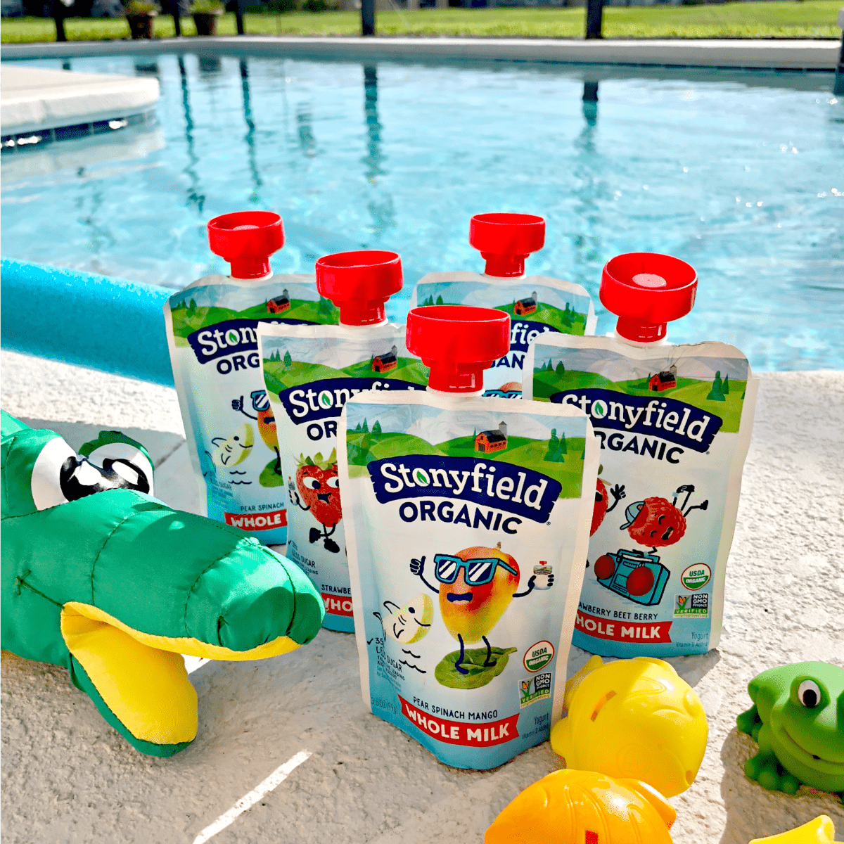 5 flavors of stonyfield organic kid's yogurt sqeeze-packets at poolside.