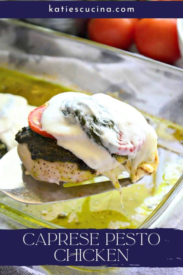 Chicken breast on a spatula topped with pesto, tomatoes, and mozzarella cheese.
