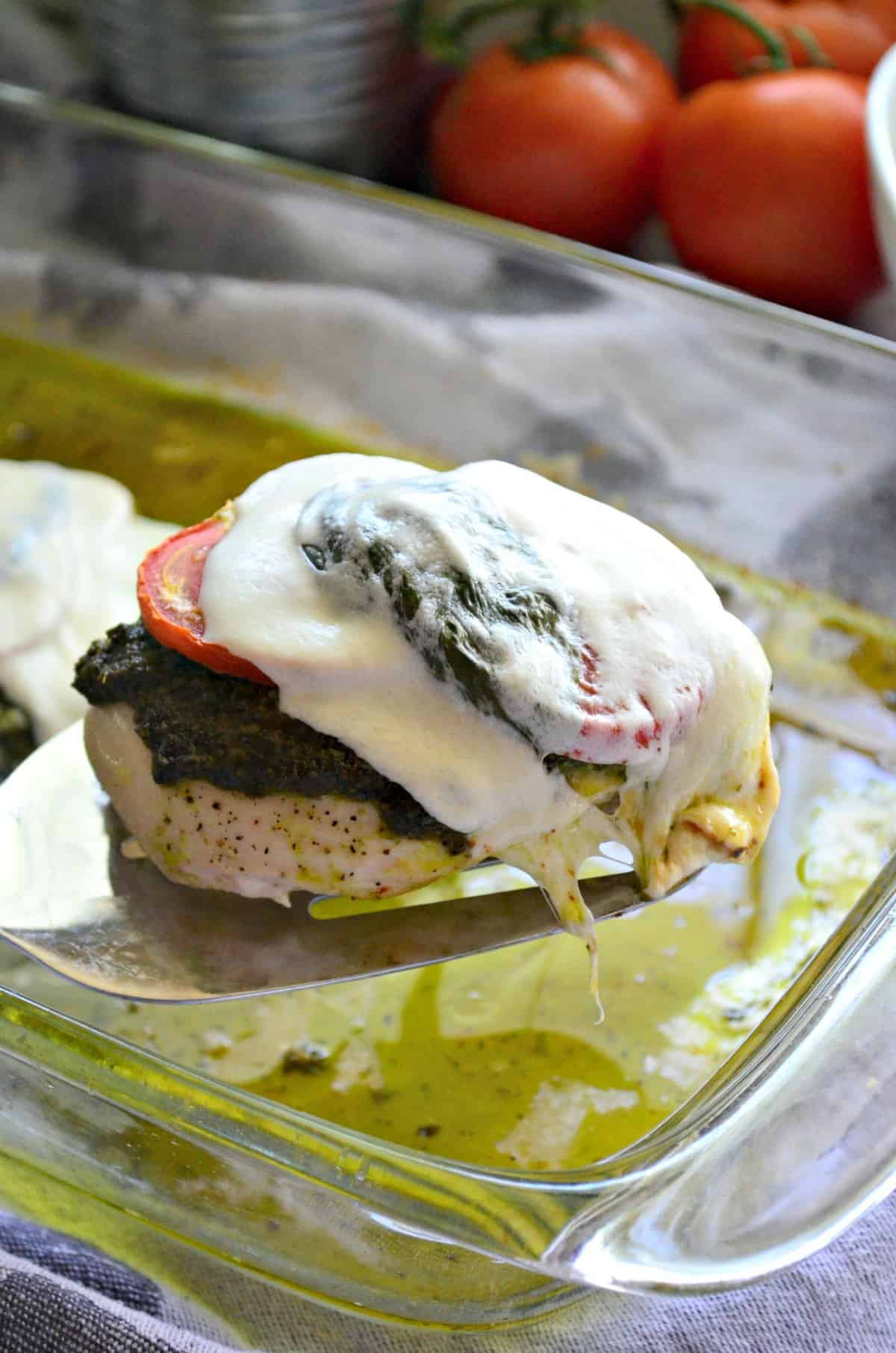 spatula holding up chicken breast with tomato, greens, and melted cheese over casserole dish.